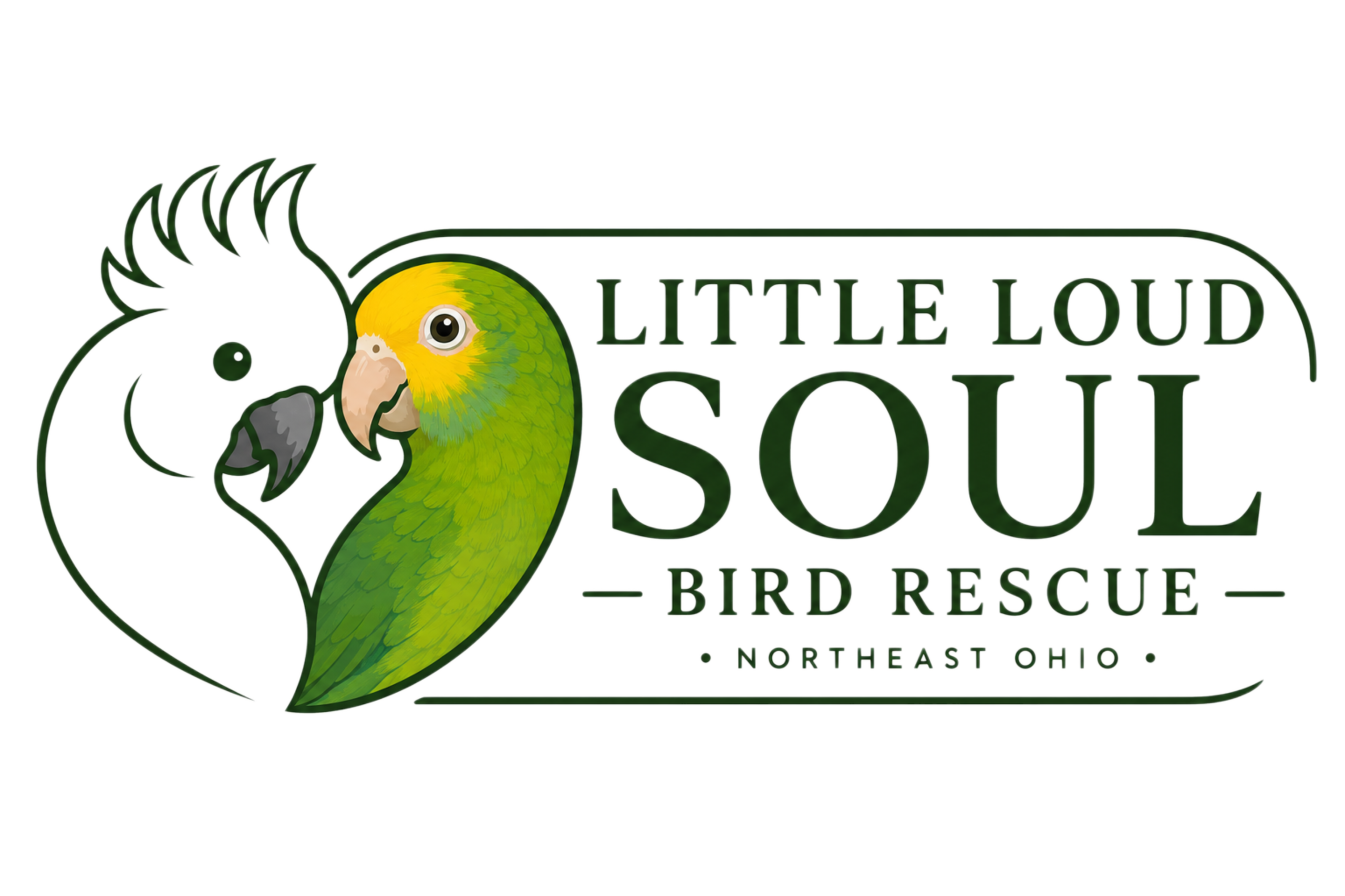 Little Loud Soul Bird Rescue