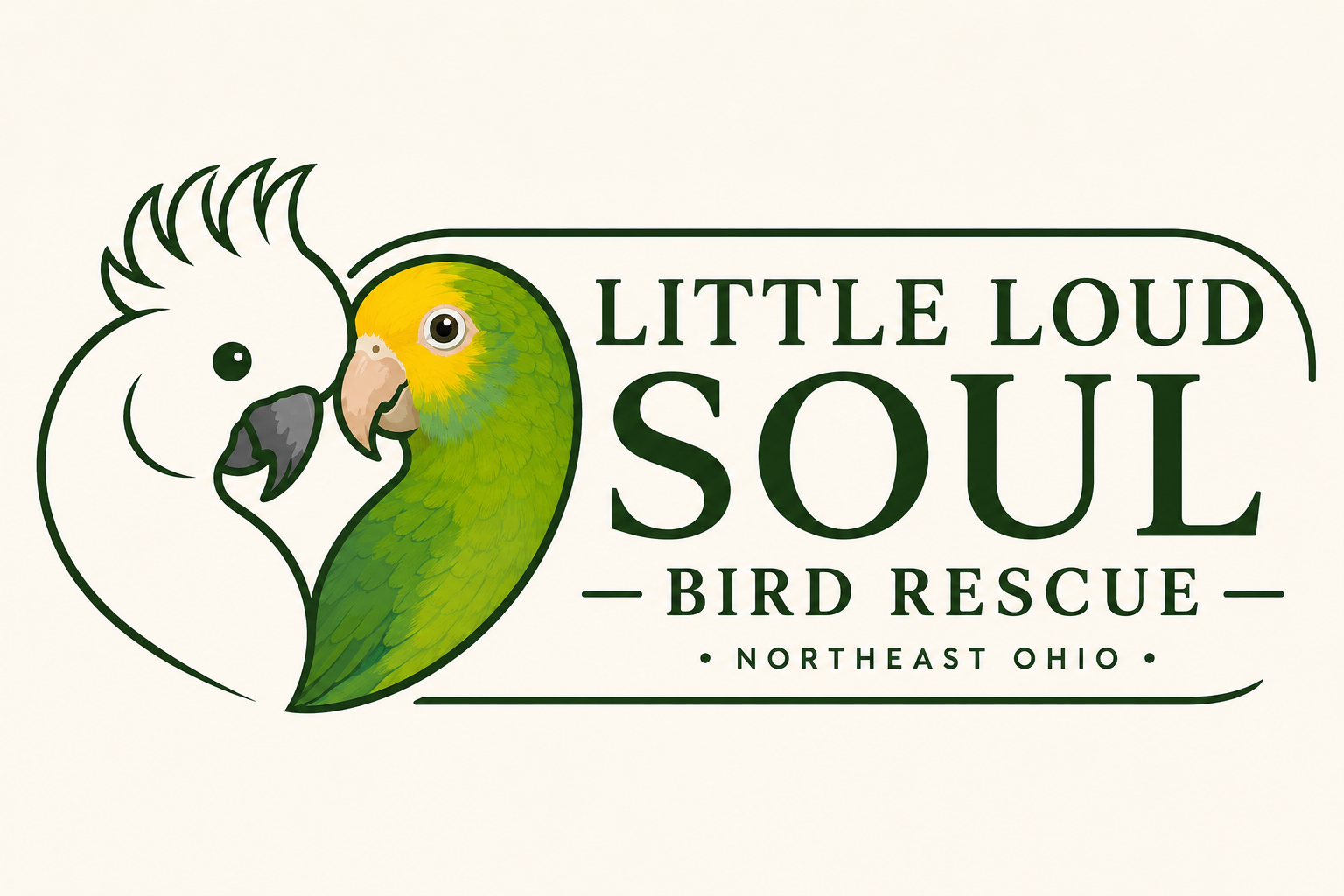 Little Loud Soul Bird Rescue
