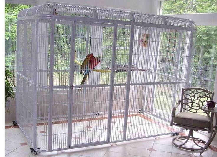 7e462df6df9036ff00443c639fe8c759 Parrot Cages Bird Cages