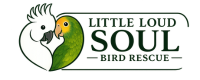 Little Loud Soul Bird Rescue