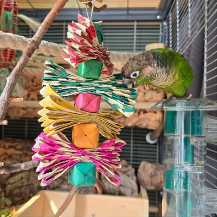 SmallAnimals_92_750x